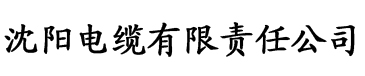 一级黄片免费看中文字幕电缆厂logo